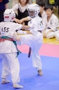 shizuoka KARATE championship 