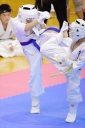 shizuoka KARATE championship 