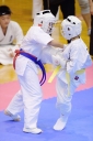 shizuoka KARATE championship 