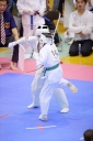 shizuoka KARATE championship 