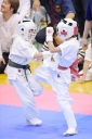shizuoka KARATE championship 