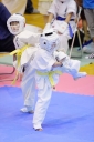 shizuoka KARATE championship 