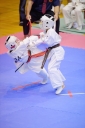 shizuoka KARATE championship 