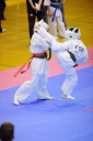 shizuoka KARATE championship 