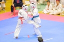 shizuoka KARATE championship 