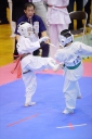 shizuoka KARATE championship 