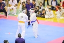 shizuoka KARATE championship 