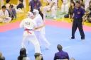shizuoka KARATE championship 