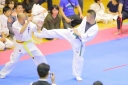 shizuoka KARATE championship 