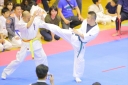 shizuoka KARATE championship 