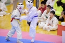 shizuoka KARATE championship 