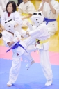 shizuoka KARATE championship 