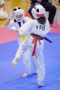 shizuoka KARATE championship 