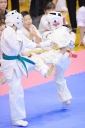 shizuoka KARATE championship 