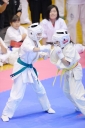 shizuoka KARATE championship 