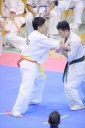 shizuoka KARATE championship 