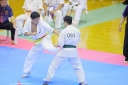shizuoka KARATE championship 