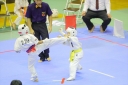 shizuoka KARATE championship 