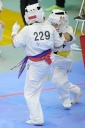 shizuoka KARATE championship 