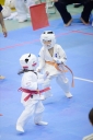 shizuoka KARATE championship 