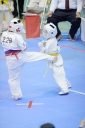 shizuoka KARATE championship 
