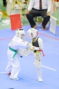 shizuoka KARATE championship 