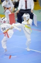 shizuoka KARATE championship 