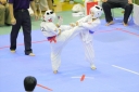 shizuoka KARATE championship 