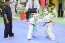 shizuoka KARATE championship 
