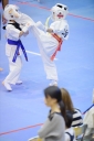 shizuoka KARATE championship 
