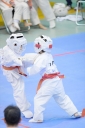 shizuoka KARATE championship 