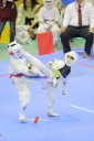 shizuoka KARATE championship 