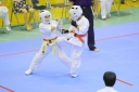shizuoka KARATE championship 