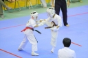 shizuoka KARATE championship 