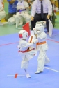shizuoka KARATE championship 