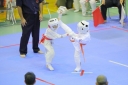 shizuoka KARATE championship 