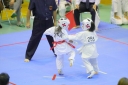 shizuoka KARATE championship 