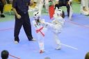 shizuoka KARATE championship 