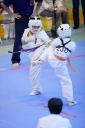 shizuoka KARATE championship 