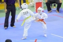 shizuoka KARATE championship 