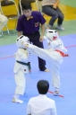 shizuoka KARATE championship 