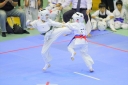 shizuoka KARATE championship 