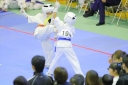shizuoka KARATE championship 