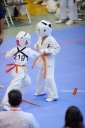 shizuoka KARATE championship 