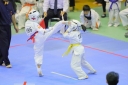 shizuoka KARATE championship 