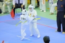 shizuoka KARATE championship 