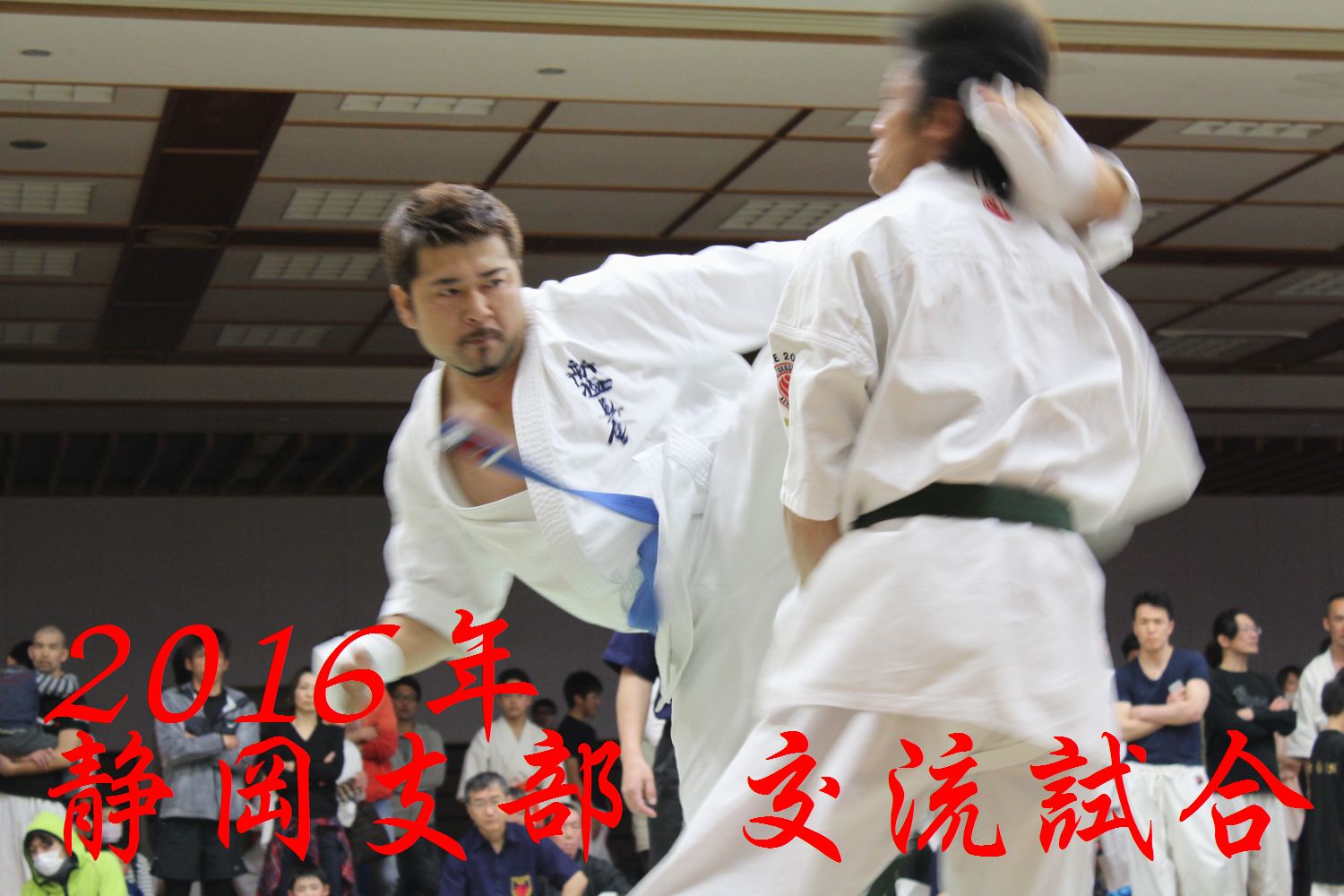 新極真会静岡支部