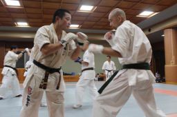 �V�ɐ^��É��x���i������